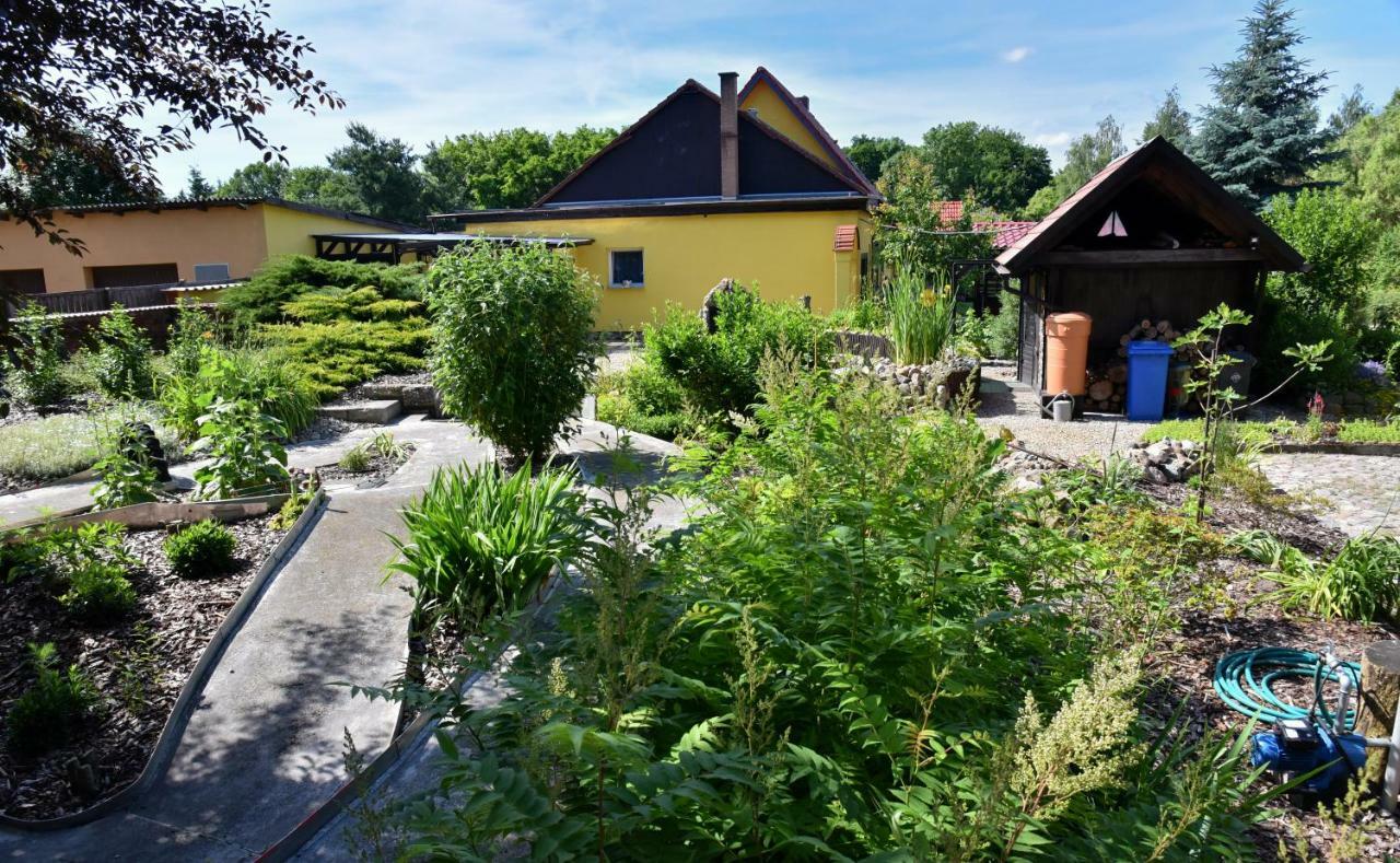 Ferienhaus "Am Gutspark" Alt Tucheband Exterior foto